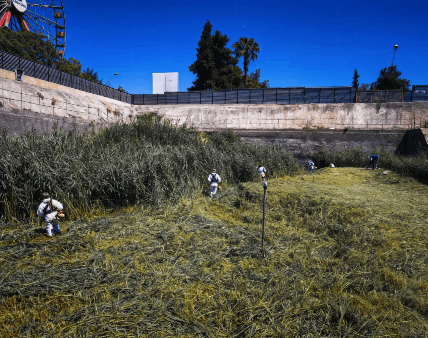 Συνεργείο αποψίλωσης καθαρίζει πυκνή βλάστηση σε κοινόχρηστη έκταση.